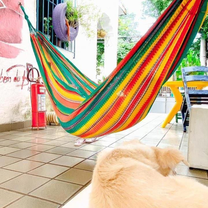 Zili Pernambuco - Hostel Pousada Ρεσίφε Εξωτερικό φωτογραφία